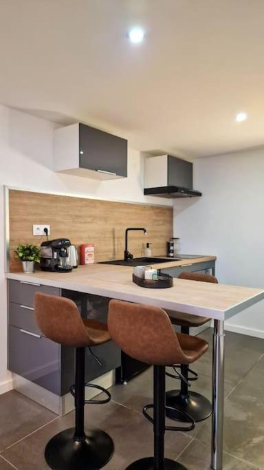 생테티엔 L'Atelier C Magnifique Loft Avec Terrasse Privee 아파트 외부 사진